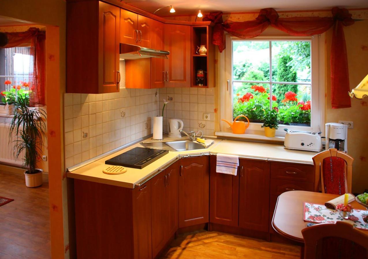 Haus Tadeus Daire Altenberg  Dış mekan fotoğraf