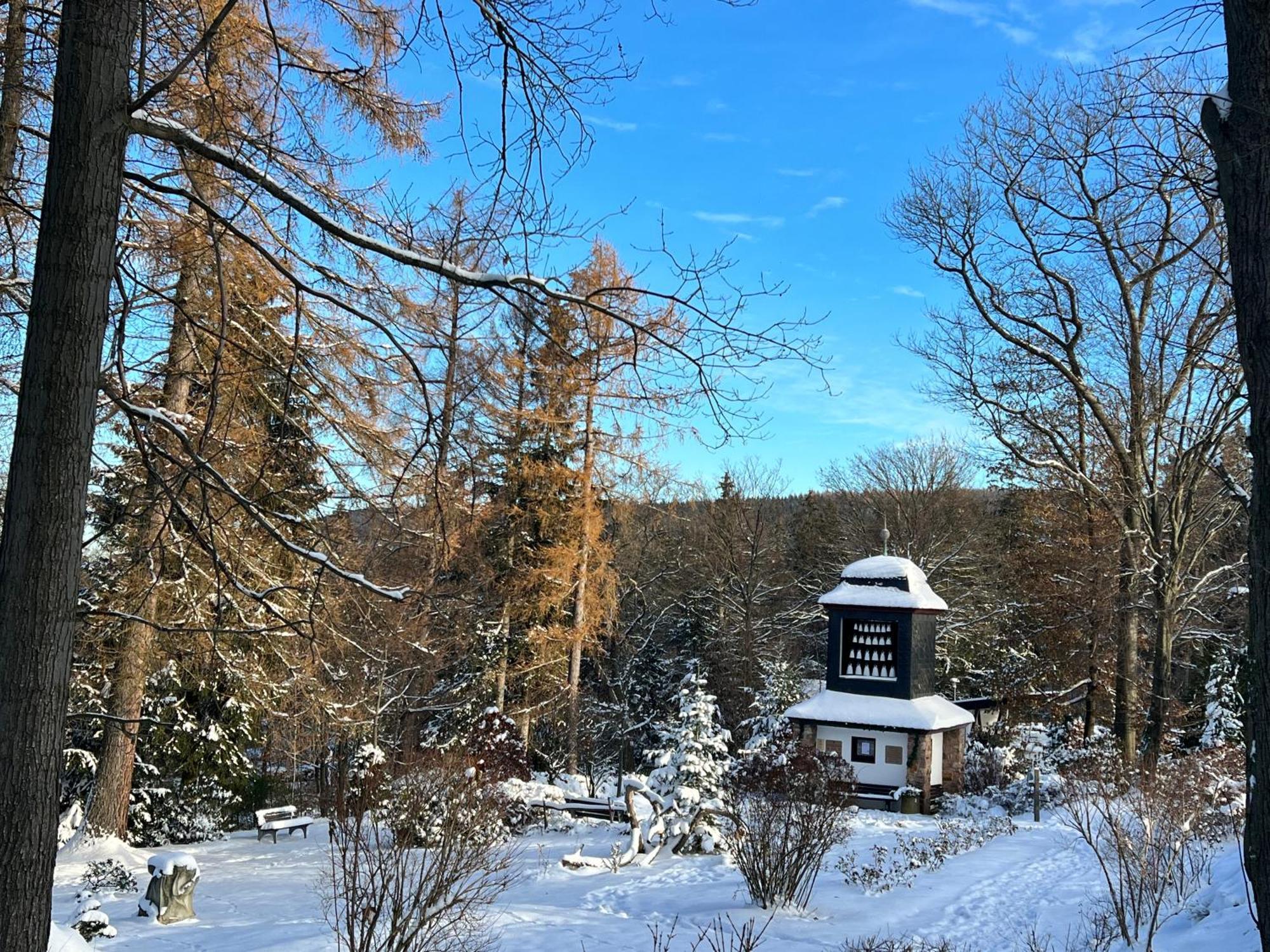 Haus Tadeus Daire Altenberg  Dış mekan fotoğraf