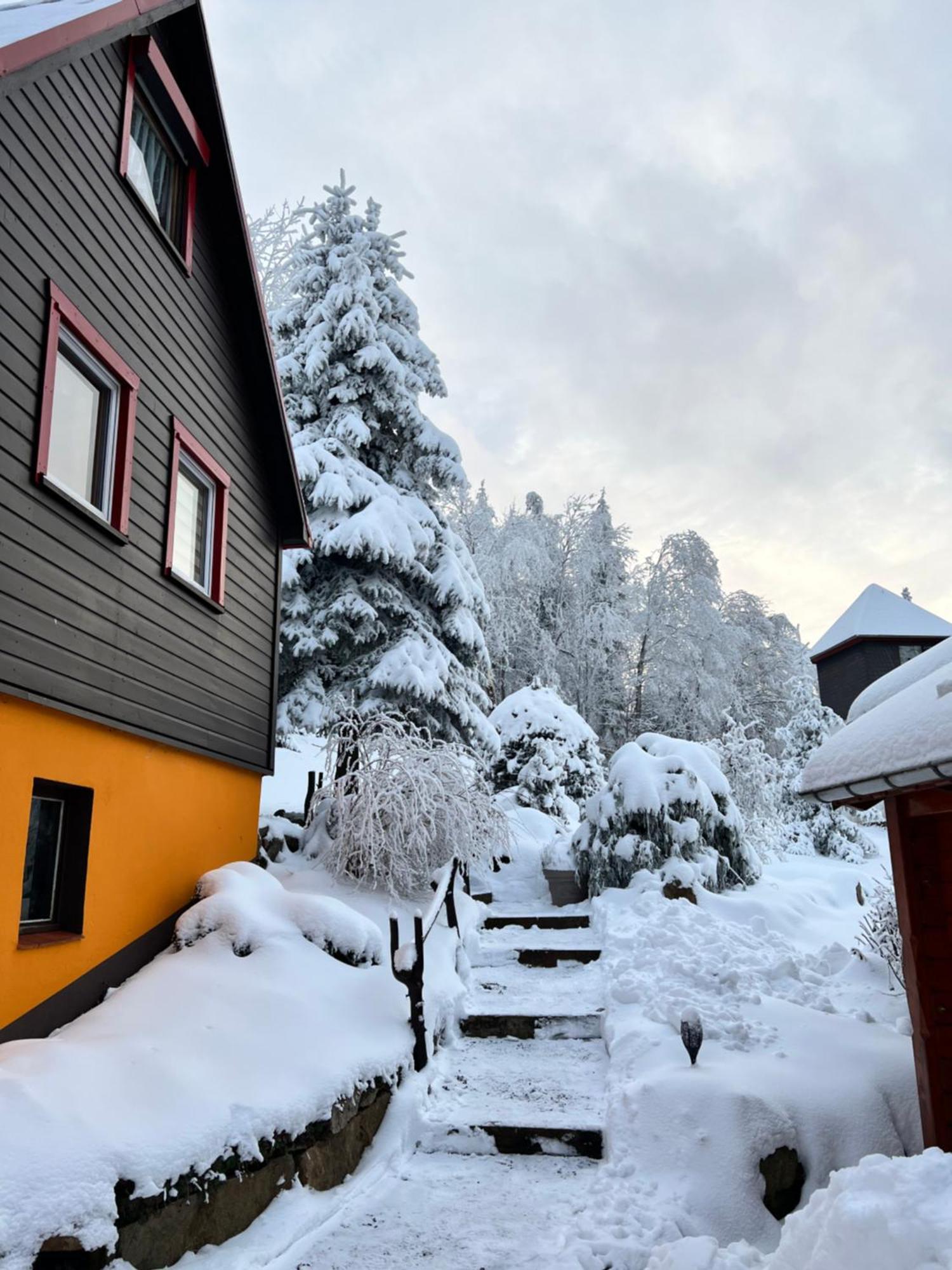 Haus Tadeus Daire Altenberg  Dış mekan fotoğraf